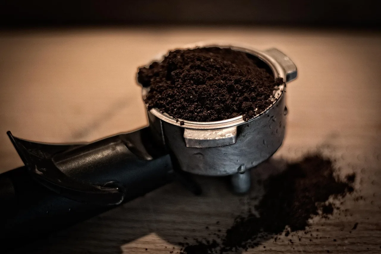 Warum du den Kaffeesatz nach dem Frühstück nie wieder wegwerfen solltest – dein Garten wird es dir danken2026-05-02T09:19:49.816Z"